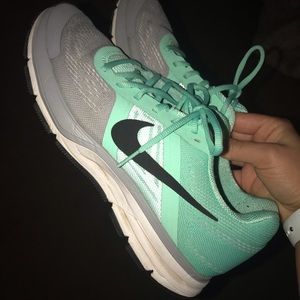 Nike Pegasus 30